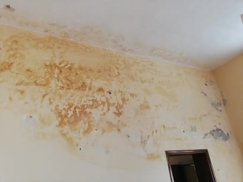 Una pared entera ganada por la humedad, con manchas hasta el techo